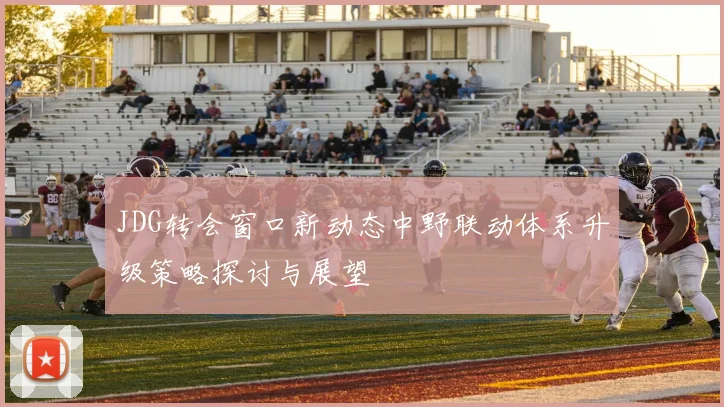 JDG转会窗口新动态中野联动体系升级策略探讨与展望