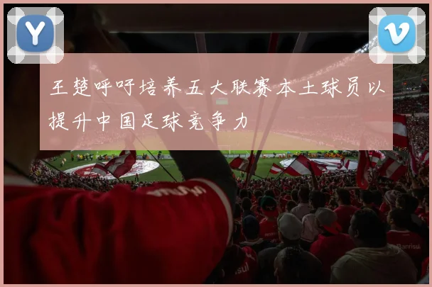 王楚呼吁培养五大联赛本土球员以提升中国足球竞争力