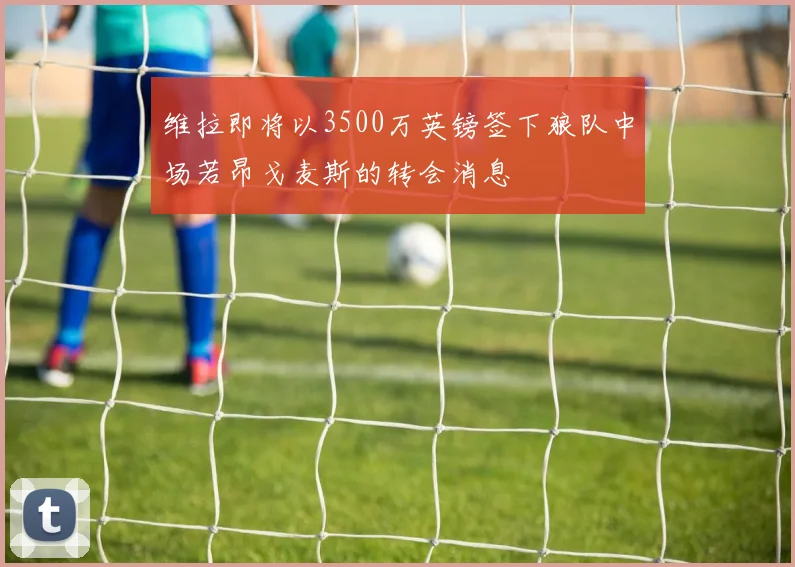 维拉即将以3500万英镑签下狼队中场若昂戈麦斯的转会消息